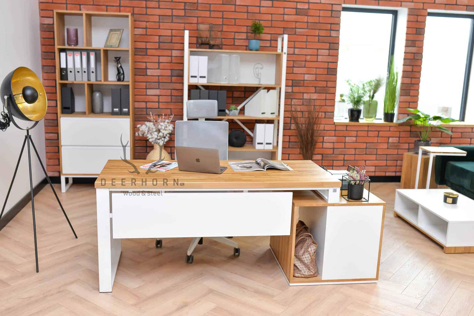 women's_cabinet kabinet žen