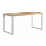 Bílý psací stůl pro dívku s dřevěnou deskou 120x60cm