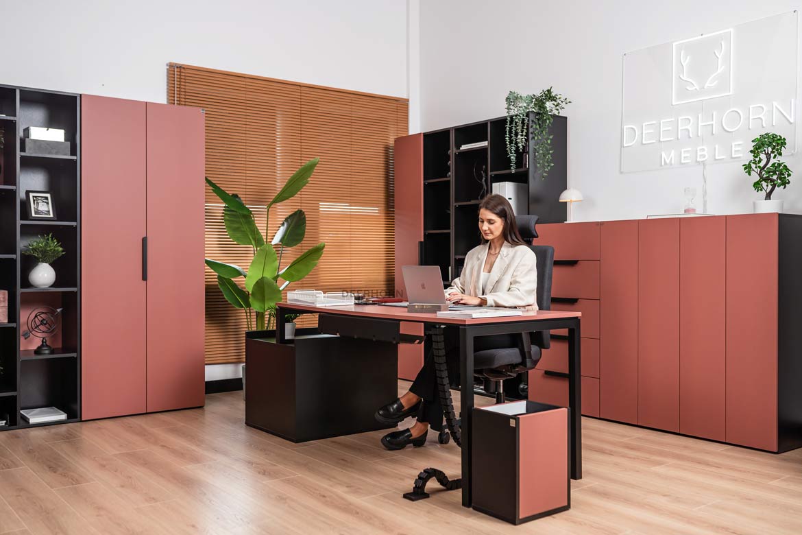 meble-dla-firm-gabinetowe-premium meble dla firm gabinetowe premium