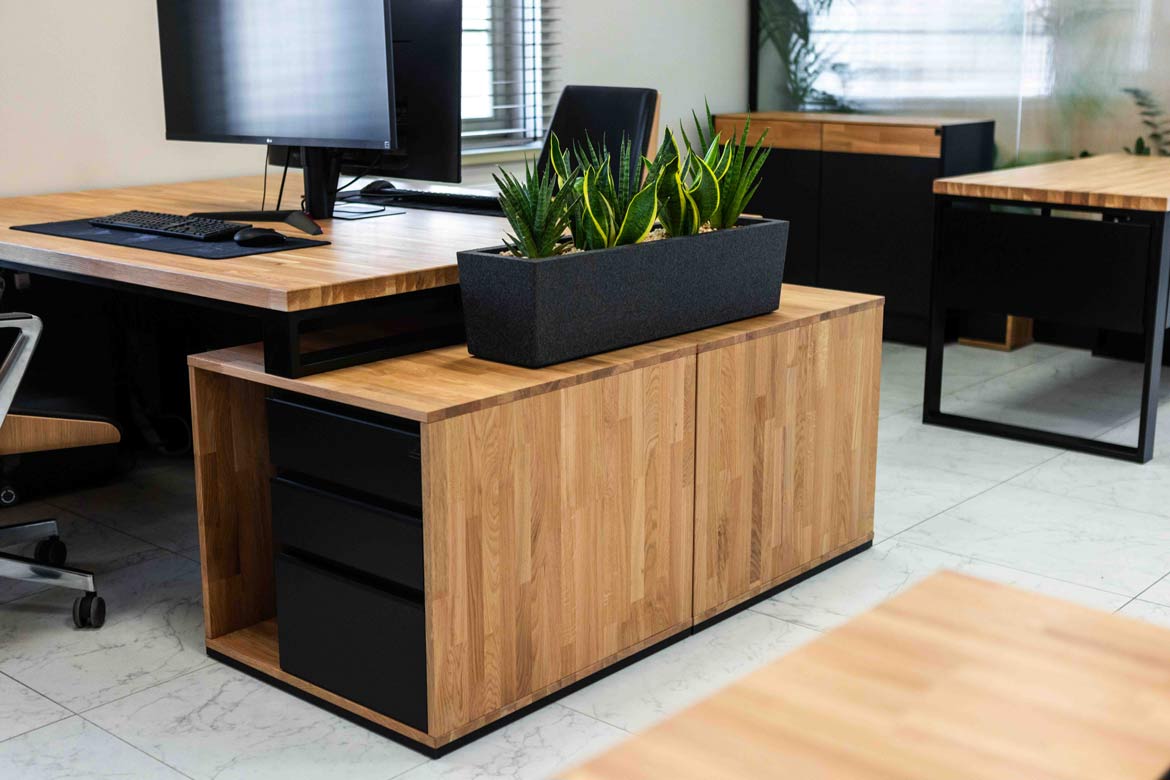 Katalpa producent domów modułowych w Ostródzie